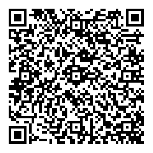 4Точки Казань Копылова, 1г контакты qr