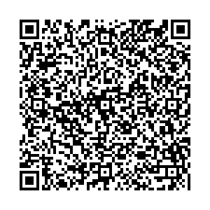 700 Шин Саратов Московское шоссе, 35/1а контакты qr