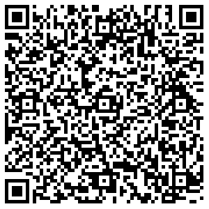 АК Барс Тольятти Мира, 138 контакты qr