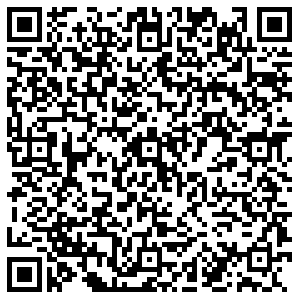 Альмак Советск Ленина, 3 Г контакты qr