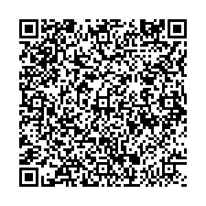 ARTICOLI Москва Красная площадь, 3 контакты qr