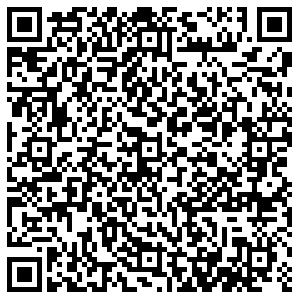 Билайн Чита Шилова, 100 контакты qr