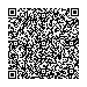 БиФри Псков д. Борисовичи, Завеличенская, 23 контакты qr