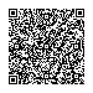 Big Bro Йошкар-Ола пр. Царьградский, 33 контакты qr