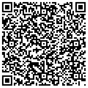 Борк Казань Павлюхина, 91 контакты qr