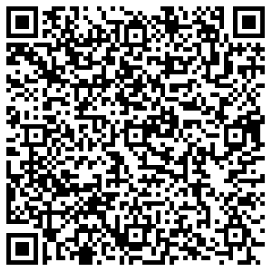 Boxberry Воронеж Шишкова, 142 контакты qr