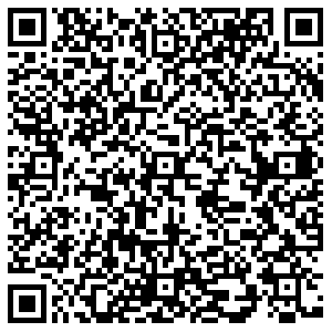 Бристоль Няндома ул. Ермолина,2А контакты qr