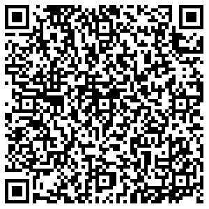 Бристоль Пермь Карпинского, 107 контакты qr