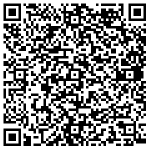 Бристоль Королев Болдырева, 2 контакты qr