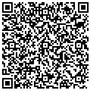 Бристоль Пенза Чаадаева, 103 контакты qr