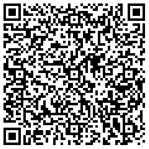 СИТИЛАБ Тольятти Мира, 100 контакты qr