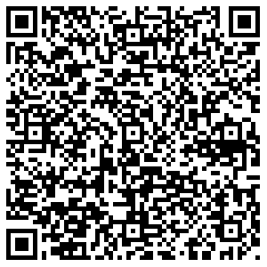 Дикси Электросталь Тевосяна, 42 контакты qr