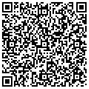 ДНС Арамиль 1 Мая, 30 контакты qr