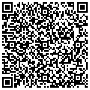 ДНС Тосно Боярова, 4а контакты qr