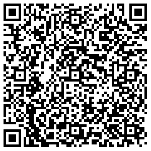 ДНС Ростов-на-Дону Думенко, 3/2 контакты qr