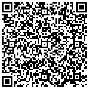 ДНС Воронеж Пушкинская, 8 контакты qr