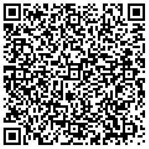 ДНС Семилуки Дзержинского, 9 контакты qr