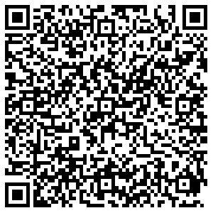 ДНС Кинель Маяковского, 81 контакты qr