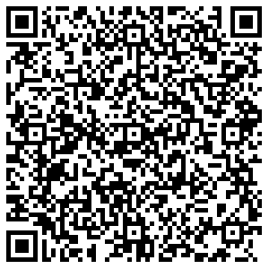 ДНС Кировск Олимпийская, 13 контакты qr