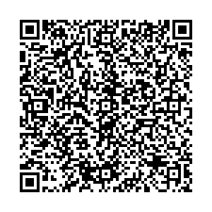 ДНС Полярные Зори улица Энергетиков, 15 контакты qr