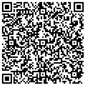 ДНС Рыбное Большая, 8Б контакты qr