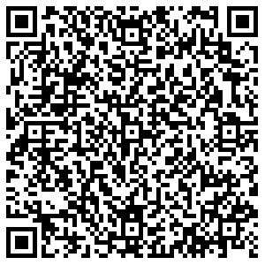 Эконика Казань Павлюхина, 91 контакты qr