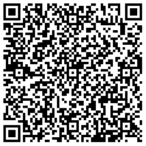 Эконика Мытищи Мира, 51 контакты qr