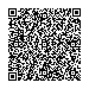 Элика Воронеж Моисеева, 65/8 киоск контакты qr