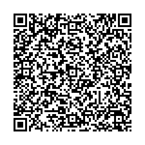 Элика Воронеж Машиностроителей, 80/3 киоск контакты qr