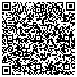 Элика Владимир Комиссарова, 10/13 контакты qr