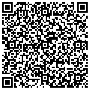 Элика Владимир Чайковского, 3е контакты qr