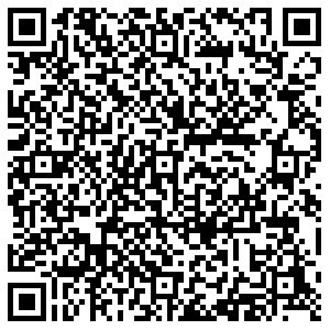 Элика Владимир Егорова, 8Б контакты qr