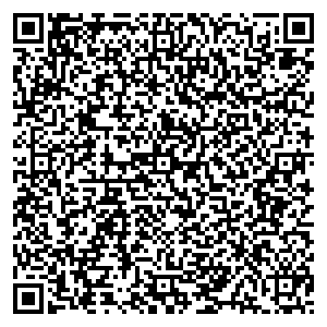 Евросеть Нижние Серги ул. Р.Люксембург, д. 80 контакты qr