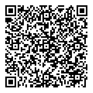 Fabi Иркутск Чехова, 2 контакты qr