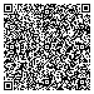 Фикс Прайс Георгиевск ул. Салогубова, д. 10 контакты qr