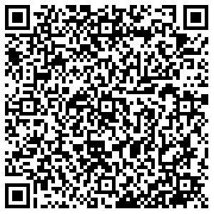 Фикс Прайс Курск Димитрова, 33 контакты qr