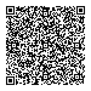 Искусница Гатчина ул. Радищева, д. 4 контакты qr