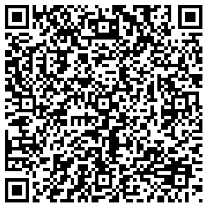 Кари Дзержинск Петрищева, 4 контакты qr