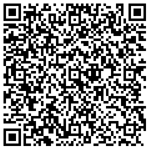 Кари Гатчина Генерала Кныша, 2а контакты qr