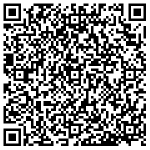 Карусель Тамбов Мичуринская, 211 контакты qr