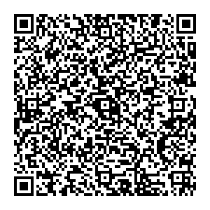 Lady and Gentleman City Новосибирск ул. Фрунзе, д. 238 контакты qr