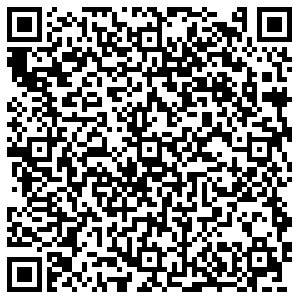 Лион Пермь ул.Сибирская, д.12 контакты qr