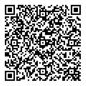 Лукойл Кинель Светлая, 110 контакты qr