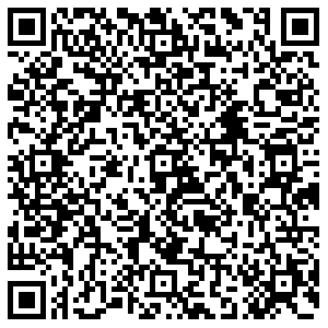 Магнит Тольятти Мира, 65 контакты qr