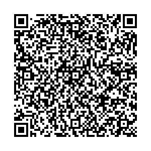 Магнит Петрозаводск Ровио, 3 контакты qr