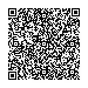 Магнит Альметьевск Гафиатуллина, 8 контакты qr