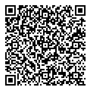 Магнит Казань Тулпар, 5 контакты qr