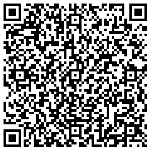 Магнит Брянск Карачижская, 101 контакты qr