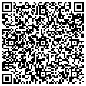 Магнит Псков Леона Поземского, 61 контакты qr