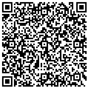 Макдоналдс Альметьевск Ленина, 100 контакты qr